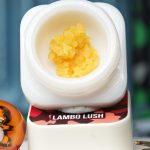 Lambo Lush BHO caviar jar with bright golden concentrate in Dank Tank studio photography