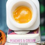 Peaches and Cream BHO caviar jar with smooth golden concentrate in Dank Tank studio photography