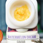 Watermelon Dream BHO caviar jar with glossy golden concentrate in Dank Tank studio photography