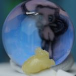 Black Lantz 90u Cold-Cured Rosin Jar with white cold cure, rich blackberry fruit, candy sweetness, and jar-busting dankness