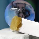 Toronja 90u Cold-Cured Rosin Jar with rich sour orange, grapefruit citrus, hazey citrus flavor, and Energizing effects
